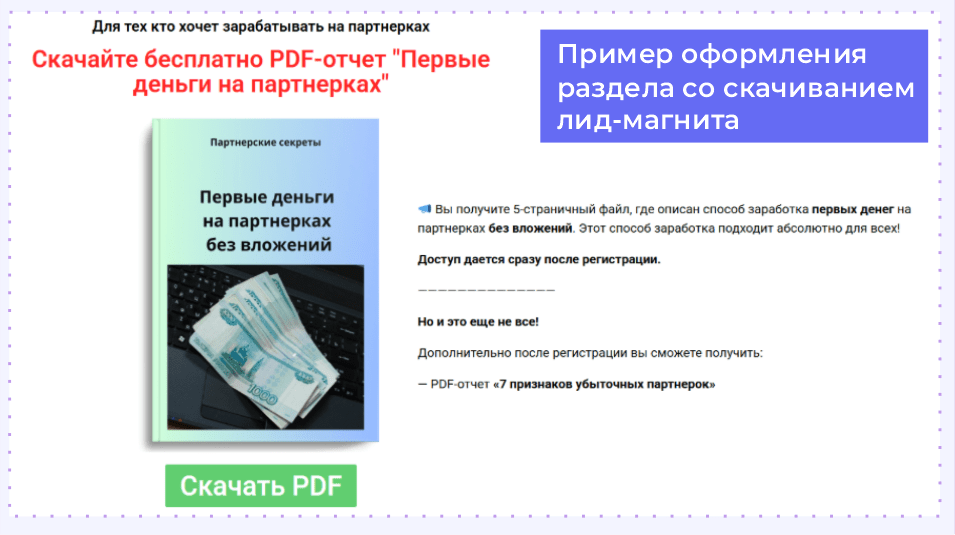 Пример оформления раздела со скачиванием лид-магнита