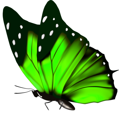 Изображение — Лепидоптерофобия - боязнь бабочек: симптомы и причины появления